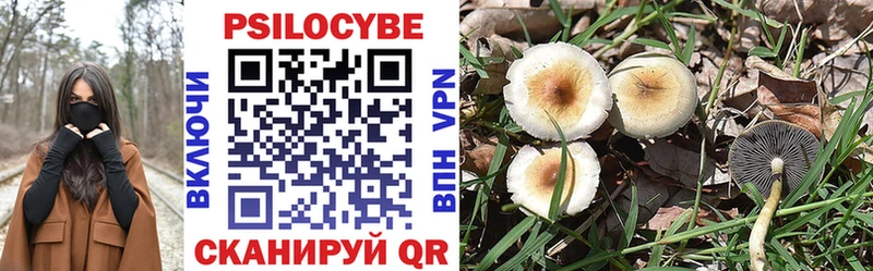 Галлюциногенные грибы Magic Shrooms  Усмань 