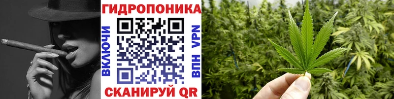 Бошки Шишки гибрид  Усмань 